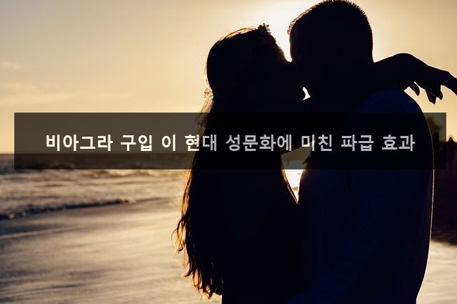 비아그라 구입 이 현대 성문화에 미친 파급 효과