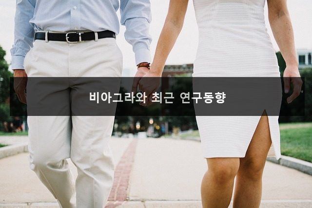 비아그라와 최근 연구동향